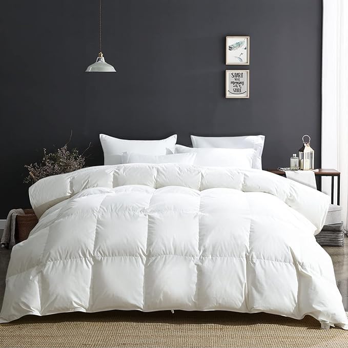 APSMILE Lightweight Duvet Insert Queen,Summer Down Feather Fibers Comforter