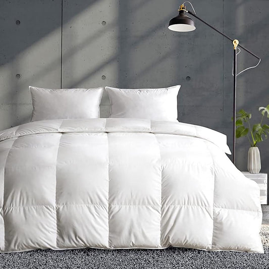 APSMILE Lightweight Duvet Insert Queen,Summer Down Feather Fibers Comforter