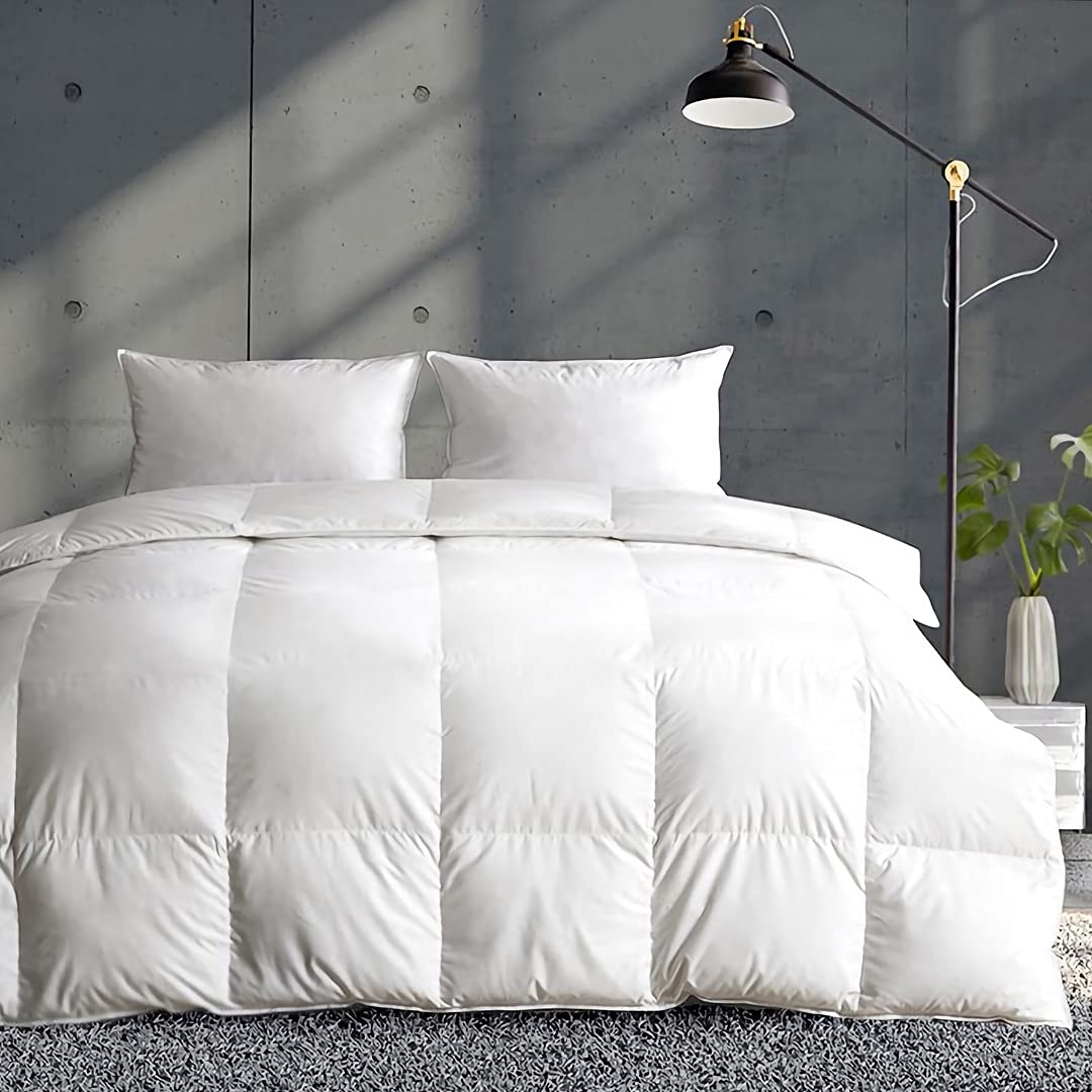 APSMILE Lightweight Duvet Insert Queen,Summer Down Feather Fibers Comforter