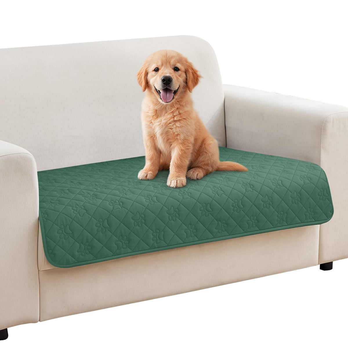 PAWFINITY Waterproof Dog Blanket for Couch, Sofa Covers for Pets Washable