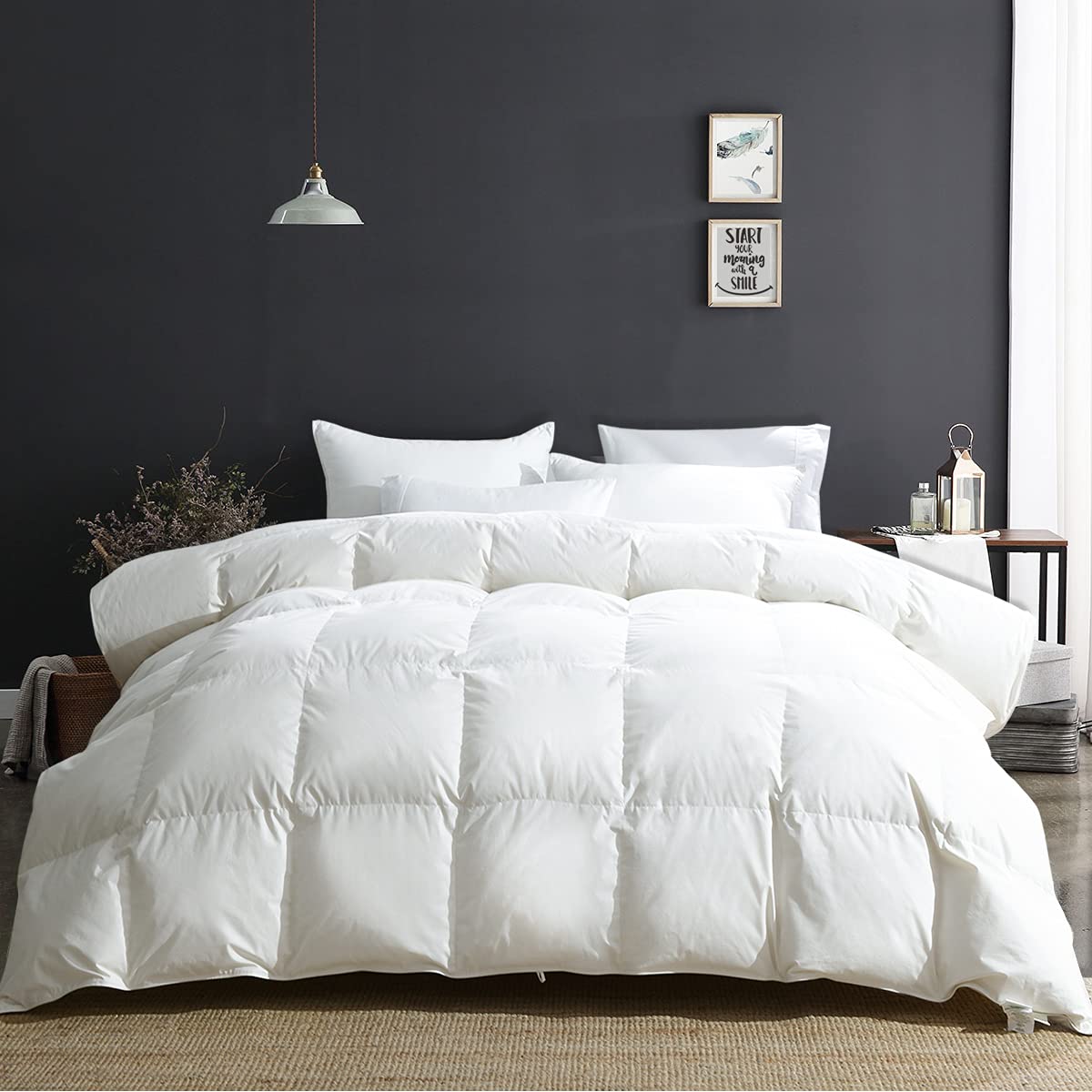 APSMILE Lightweight Duvet Insert Queen,Summer Down Feather Fibers Comforter