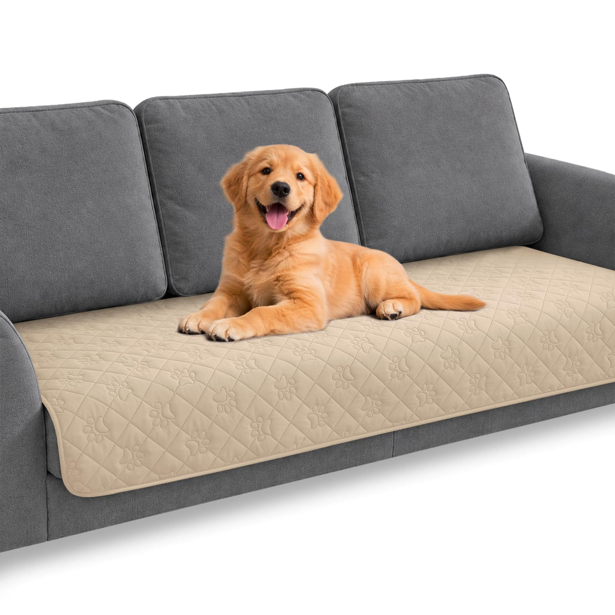 PAWFINITY Waterproof Dog Blanket for Couch, Sofa Covers for Pets Washable
