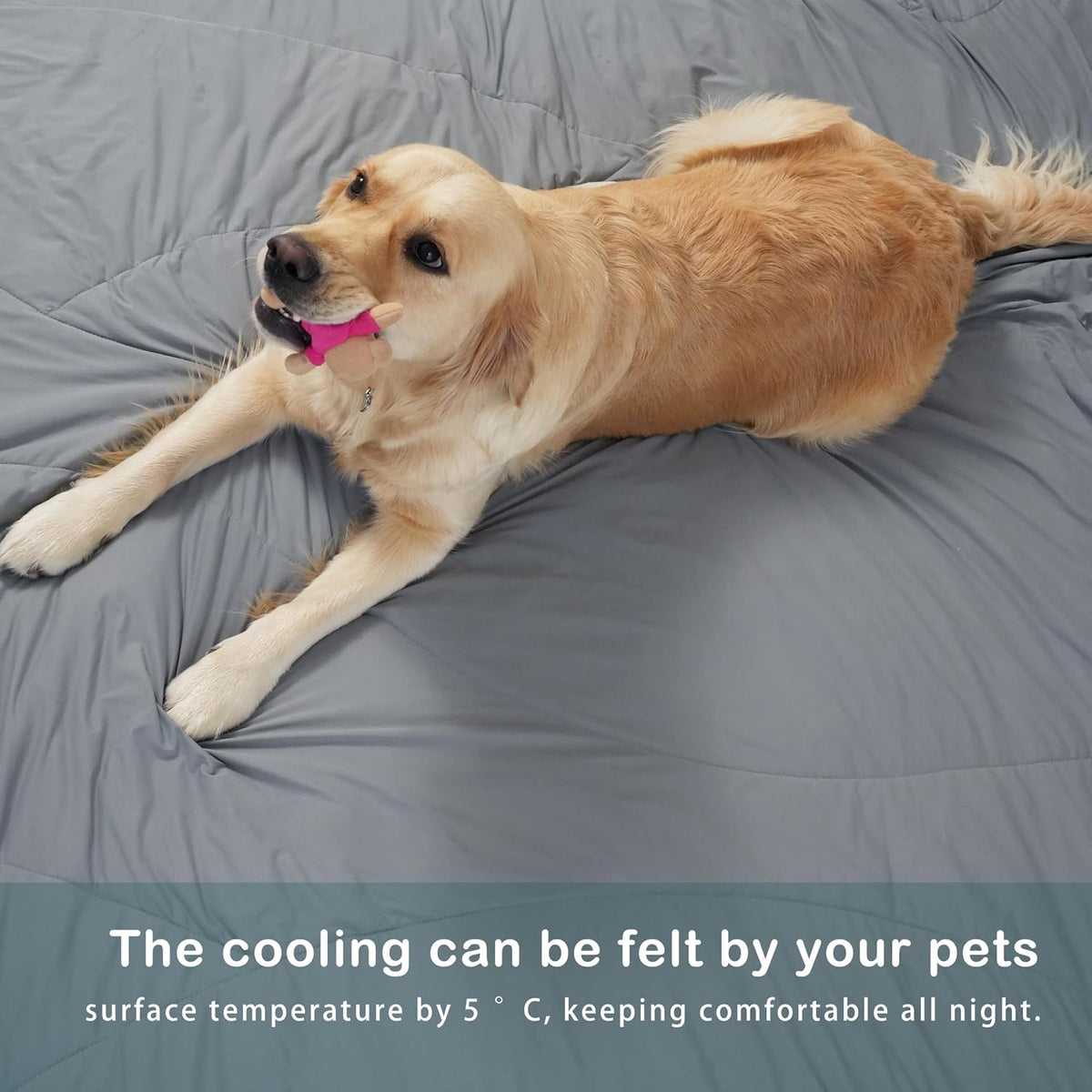 ACCURATEX Cooling Comforter Queen Size, Cool Blanket for Hot Sleepers,90x90