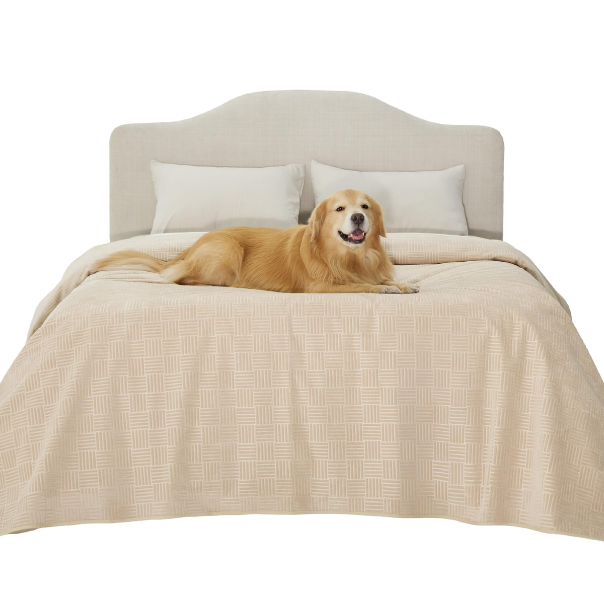 Bedsure Waterproof Bed Cover for Bed and Dogs Quick Drying, 82x102IN