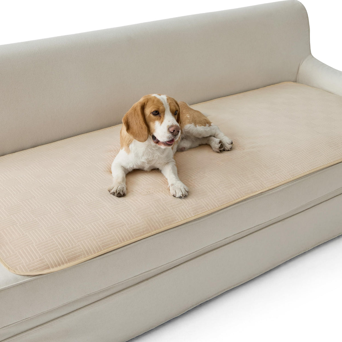 Bedsure Waterproof Bed Cover for Bed and Dogs Quick Drying, 82x102IN