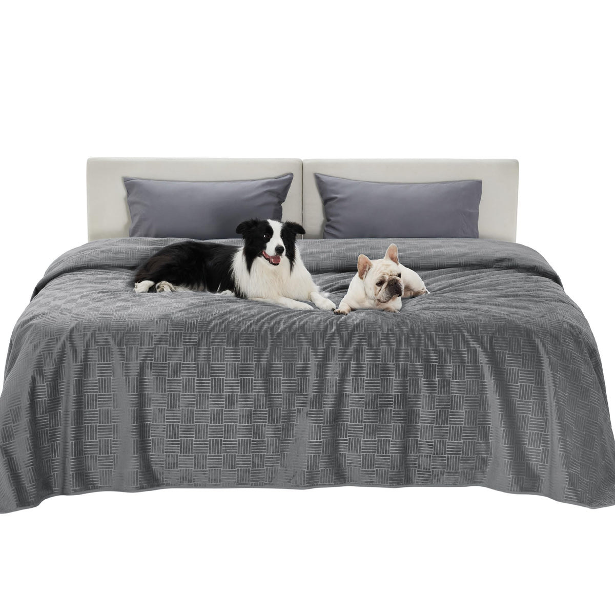 Bedsure Waterproof Bed Cover for Bed and Dogs Quick Drying, 82x102IN