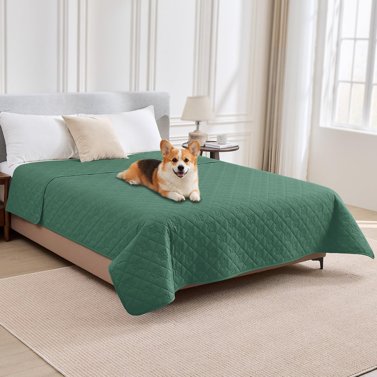 PAWFINITY Waterproof Dog Blanket for Couch, Sofa Covers for Pets Washable