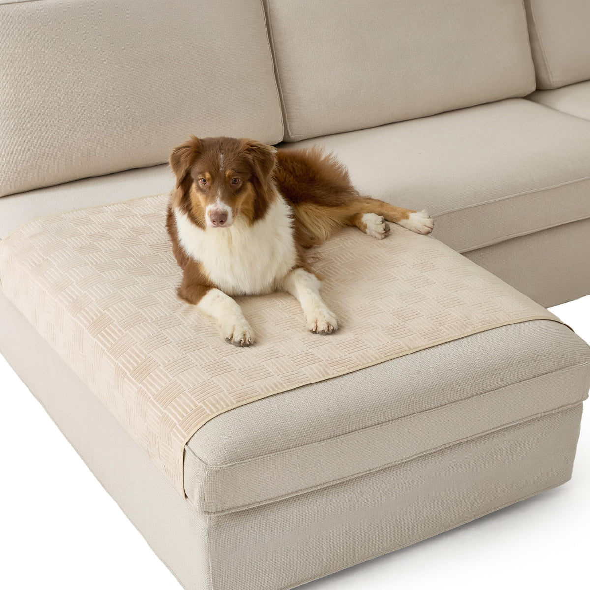 Bedsure Waterproof Bed Cover for Bed and Dogs Quick Drying, 82x102IN