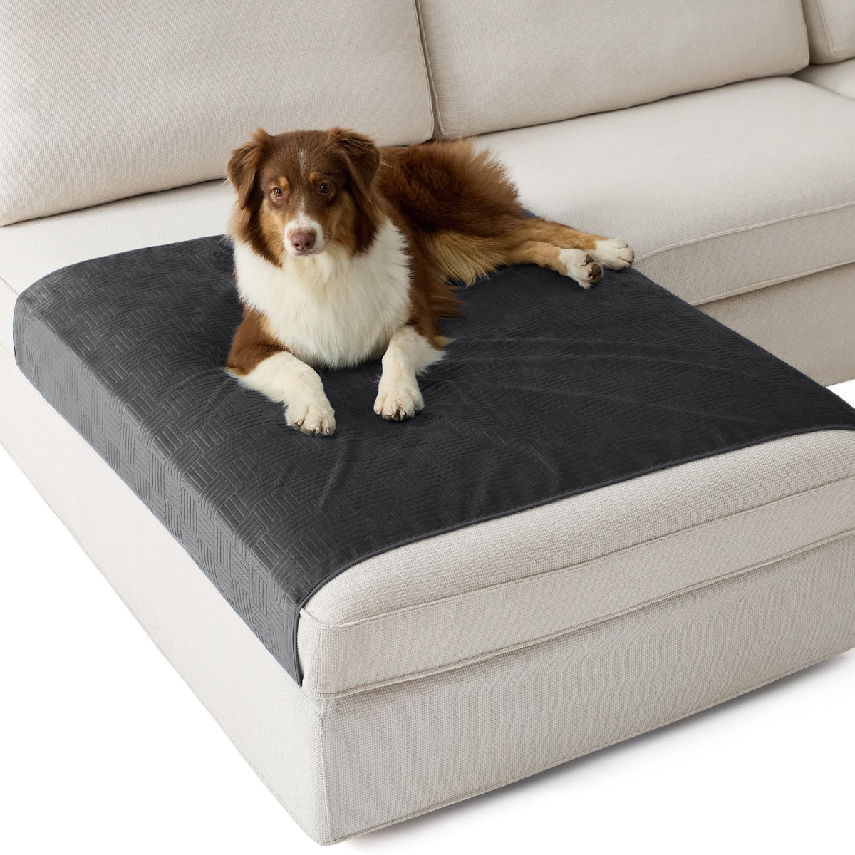 Bedsure Waterproof Bed Cover for Bed and Dogs Quick Drying, 82x102IN