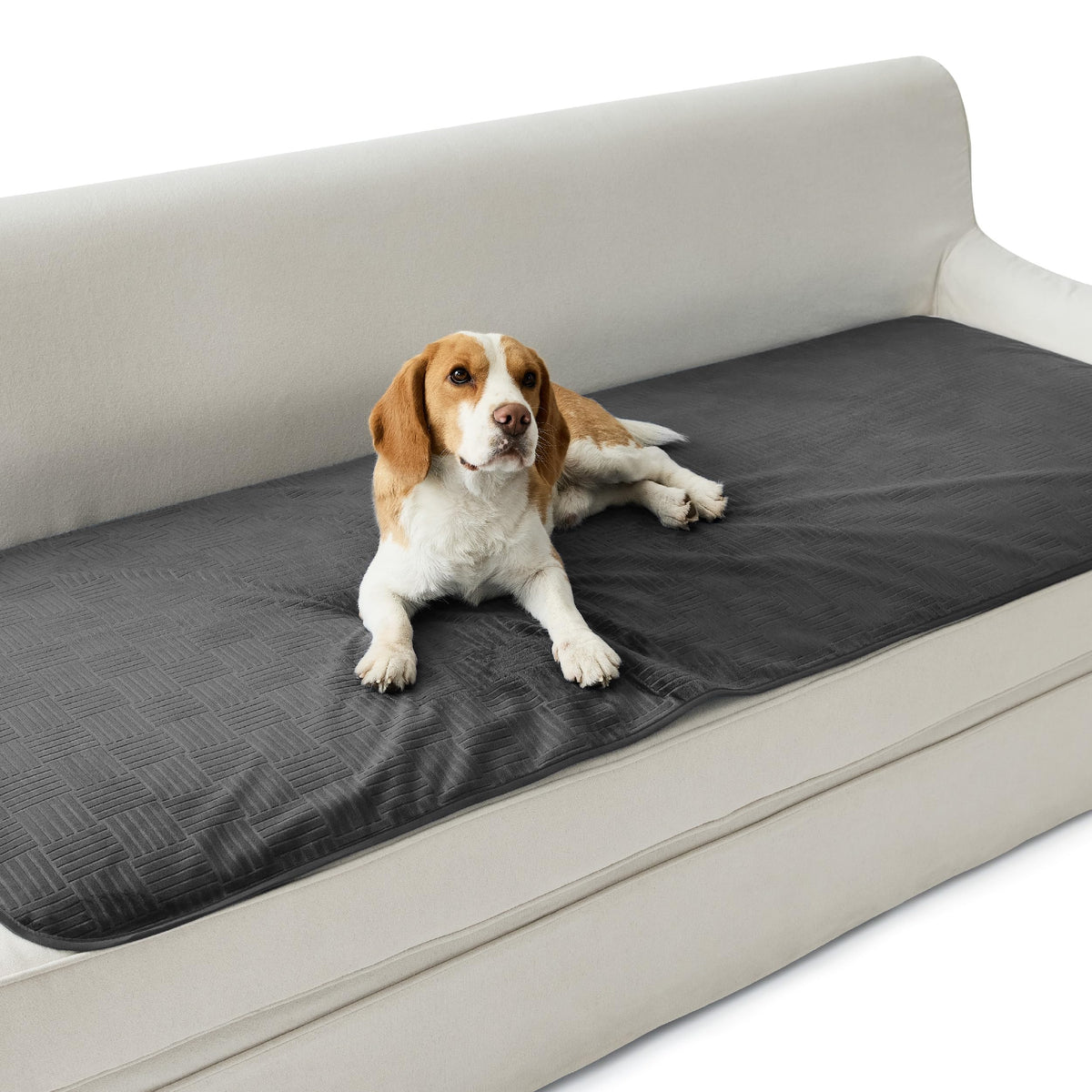 Bedsure Waterproof Bed Cover for Bed and Dogs Quick Drying, 82x102IN