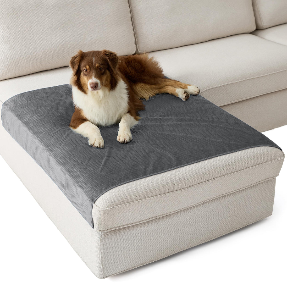 Bedsure Waterproof Bed Cover for Bed and Dogs Quick Drying, 82x102IN